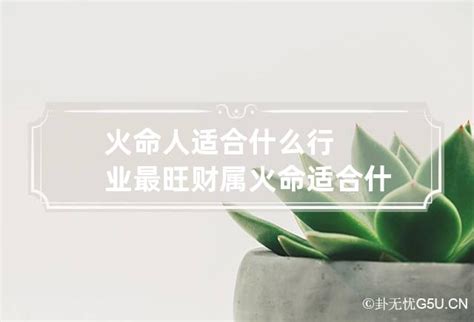 火命人适合什么行业